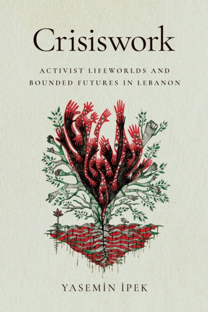 Book cover of: Crisiswork