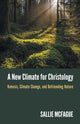 Book cover of: New Climate for Christology. By: Sallie McFague