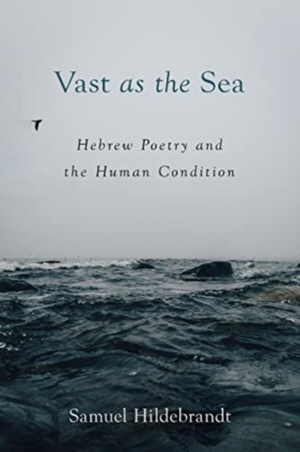 Book cover of: Vast as the Sea. By: Samuel Hildebrandt
