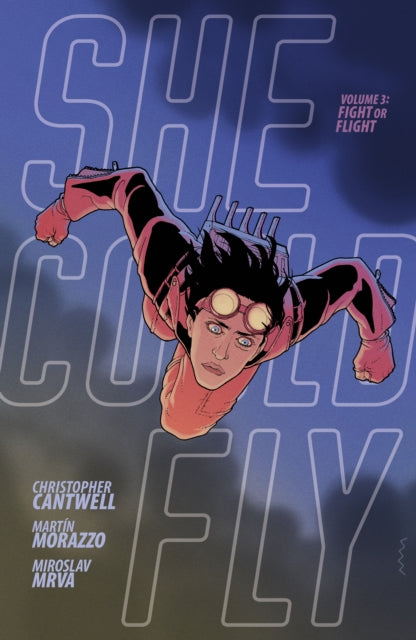 Book cover of: She Could Fly Volume 3: Fight Or Flight. By: Christopher Cantwell