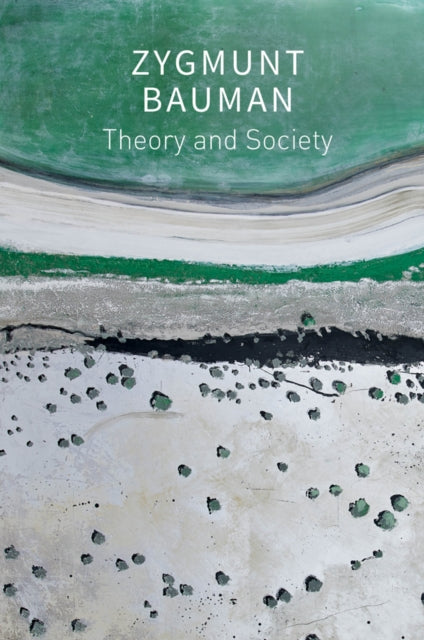 Book cover of: Theory and Society