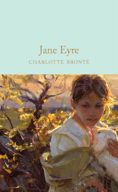 Jane Eyre 9781509827794 Charlotte Brontë