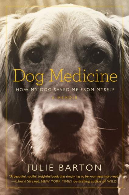 Book cover of: Dog Medicine. By: Julie Barton