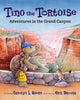 Book cover of: Tino the Tortoise. By: Carolyn L. Ahern