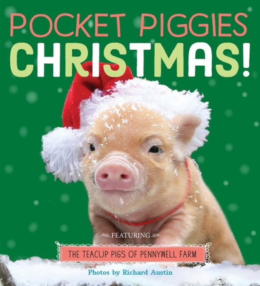 Book cover of: Pocket Piggies: Christmas!. By: Richard Austin