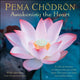 Book cover of: Pema Chodron 2026 Wall Calendar