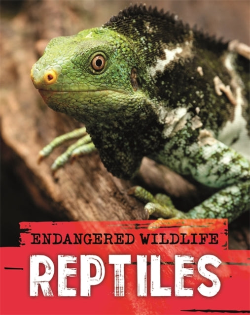 Book cover of: Endangered Wildlife: Rescuing Reptiles. By: Anita Ganeri