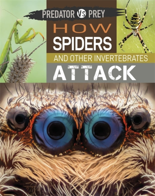 Book cover of: Predator vs Prey: How Spiders and other Invertebrates Attack