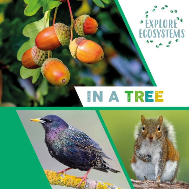 Book cover of: Explore Ecosystems: In a Tree. By: Sarah Ridley