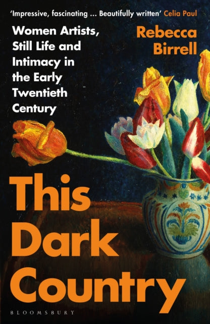 Book cover of: This Dark Country. By: Rebecca Birrell