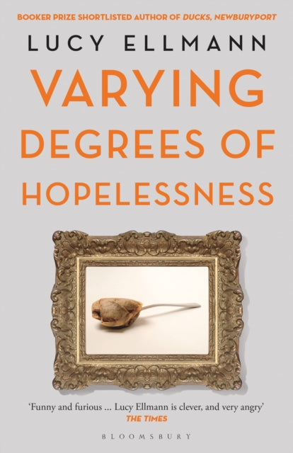Book cover of: Varying Degrees of Hopelessness. By: Lucy Ellmann