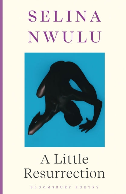 Book cover of: Little Resurrection. By: Selina Nwulu