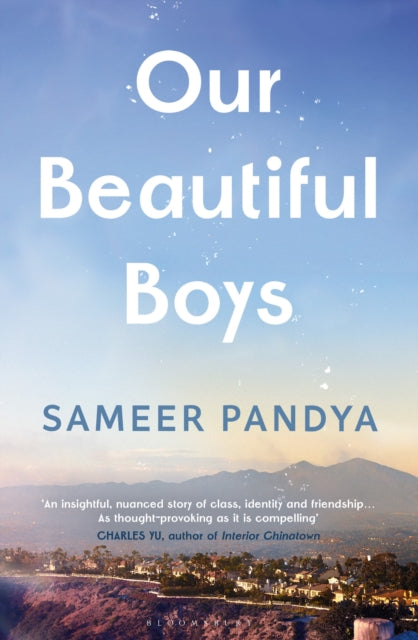 Book cover of: Our Beautiful Boys. By: Sameer Pandya