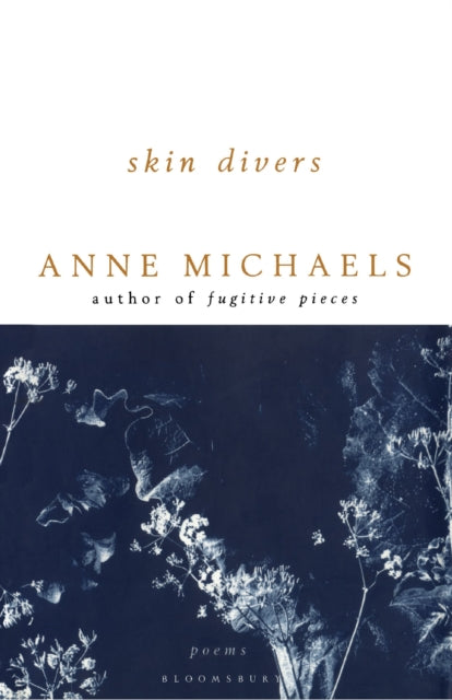 Book cover of: Skin Divers. By: Anne Michaels