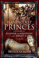 Book cover of: Plantagenet Princes. By: Douglas Boyd