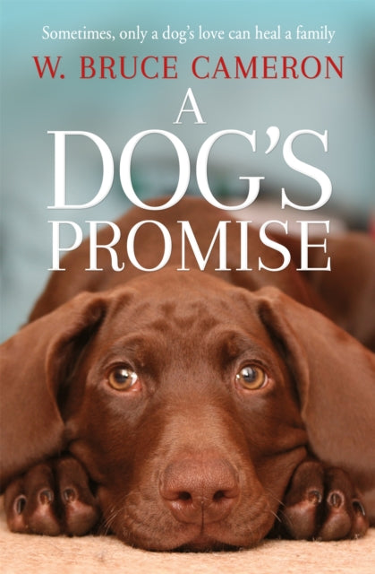 Book cover of: Dog's Promise. By: W. Bruce Cameron