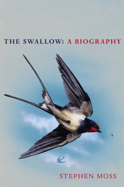 Book cover of: Swallow. By: Stephen Moss