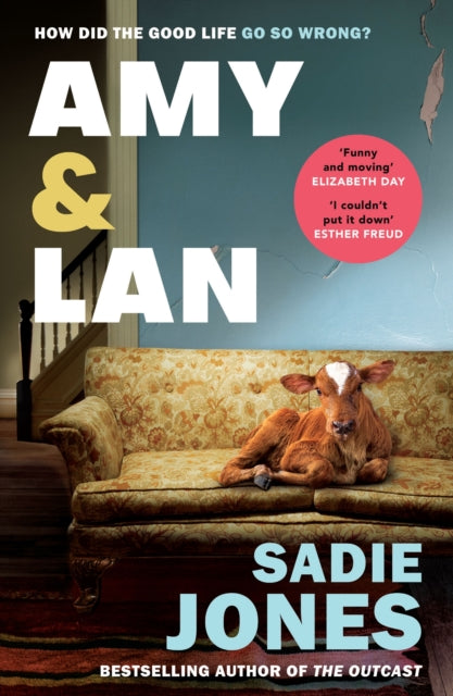 Book cover of: Amy and Lan. By: Sadie Jones