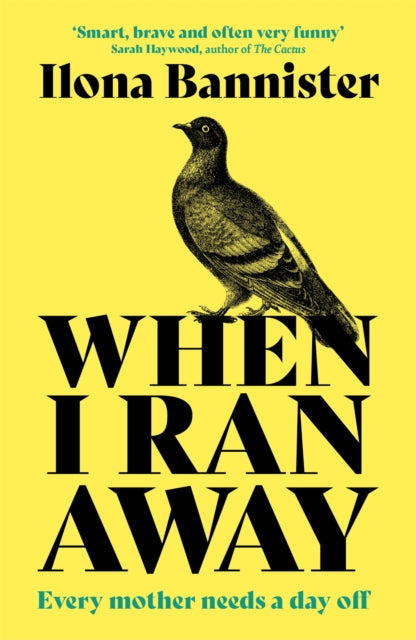 Book cover of: When I Ran Away. By: Ilona Bannister