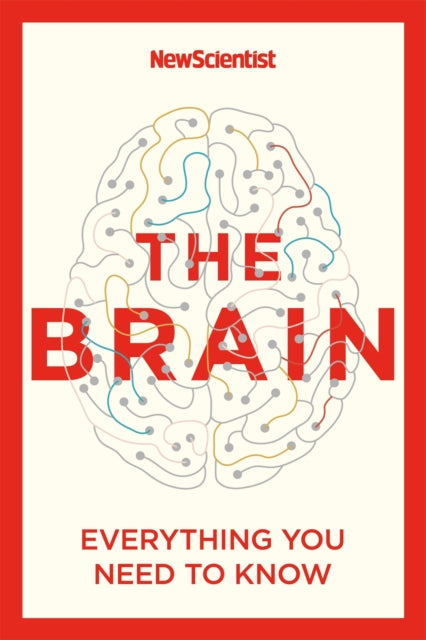 Book cover of: Brain. By: New Scientist