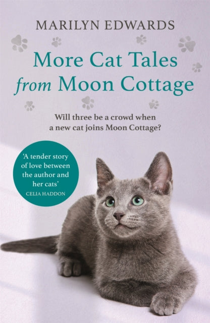 Book cover of: More Cat Tales From Moon Cottage. By: Marilyn Edwards