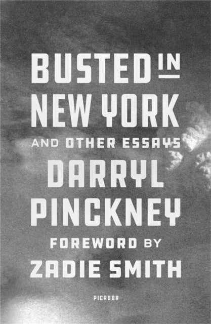 Book cover of: Busted in New York & Other Essays. By: Darryl Pinckney