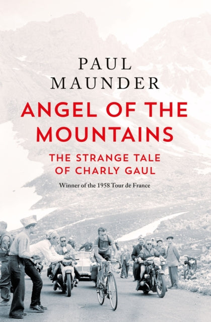 Book cover of: Angel of the Mountains. By: Paul Maunder