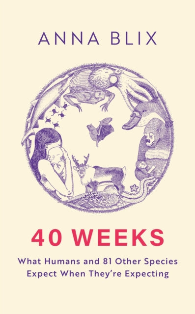 Book cover of: 40 Weeks