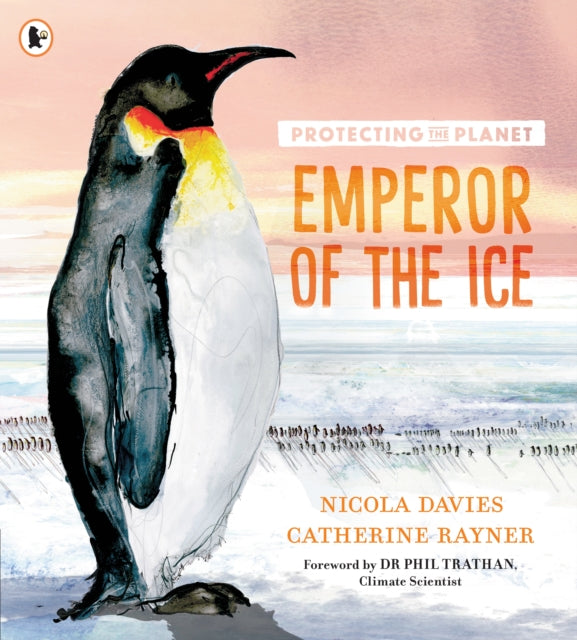 Book cover of: Protecting the Planet: Emperor of the Ice. By: Nicola Davies