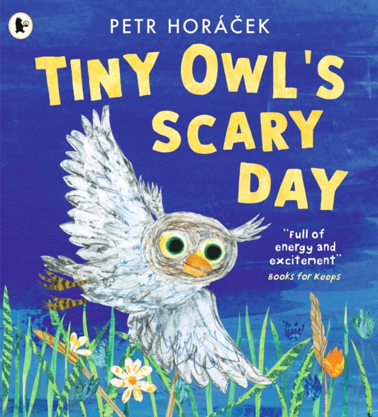 Tiny Owl's Scary Day 9781529517194 Petr Horácek