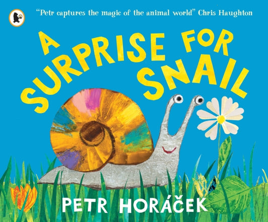Surprise for Snail