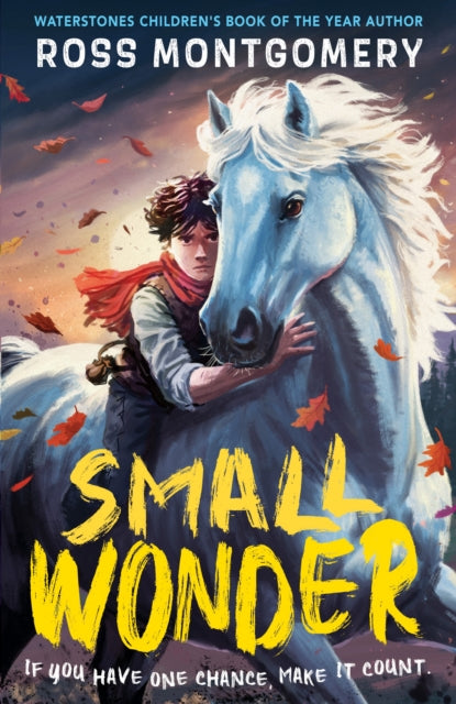 Small Wonder, The hotly anticipated new novel from award-winning Ross Montgomery, winner of Waterstones Children’s Book of the Year 2024 – fantasy adventure perfect for ages 9, 10, 11, 12 9781529526127 MONTGOMERY, ROSS