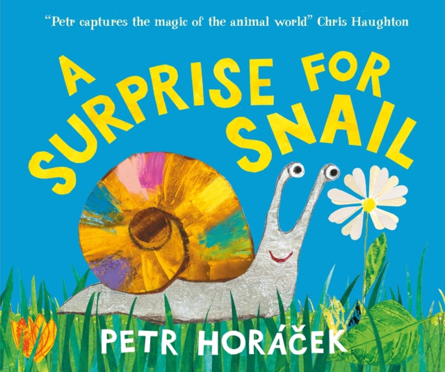 Surprise for Snail