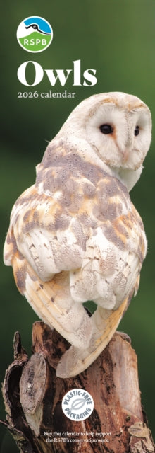 Book cover of: Rspb Owls Slim Calendar 2026