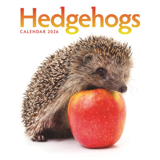 Book cover of: Hedgehogs Square Wall Calendar 2026