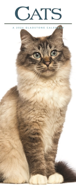 Book cover of: Cats Deluxe Slim Sunday Start Calendar 2