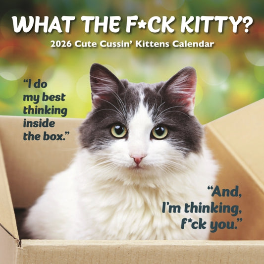 Book cover of: What The Fck Kitty Square Wall Sunday St
