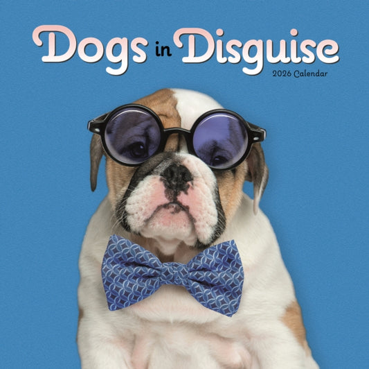 Book cover of: Dogs In Disguise Square Wall Calendar 20