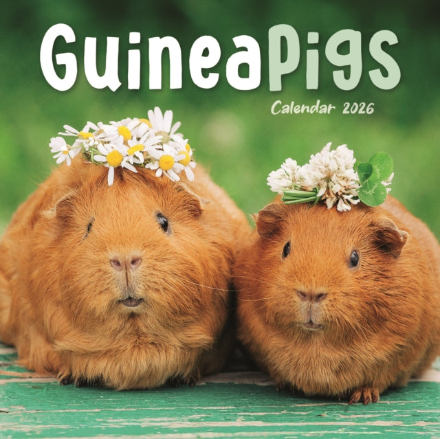 Book cover of: Guinea Pigs Square Mini Calendar 2026