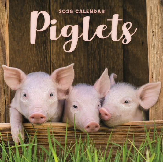 Book cover of: Piglets Square Mini Calendar 2026