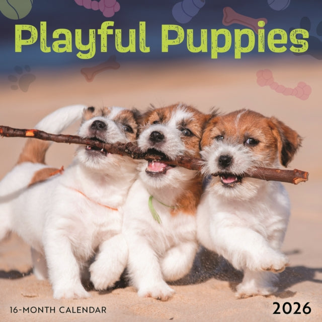 Book cover of: Playful Puppies Square Mini Sunday Start