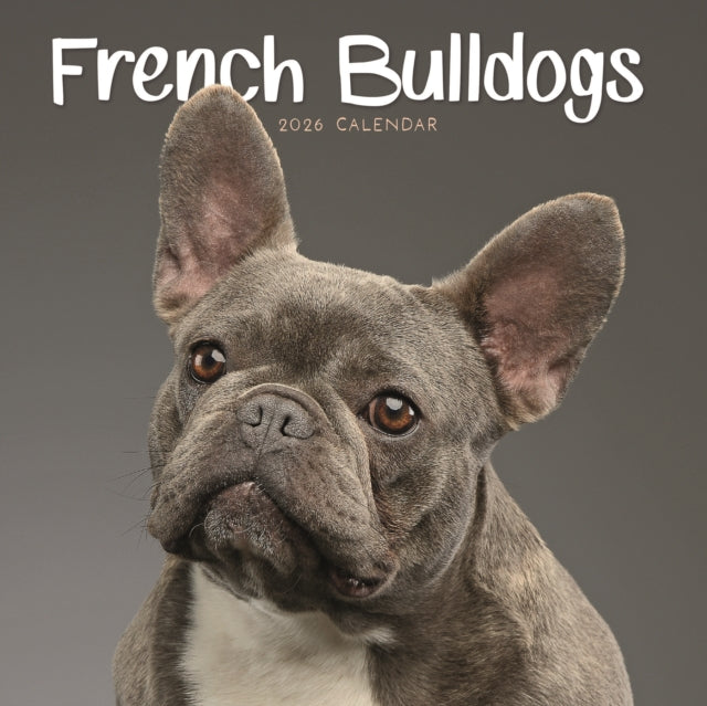 Book cover of: French Bulldogs Square Mini Calendar 202