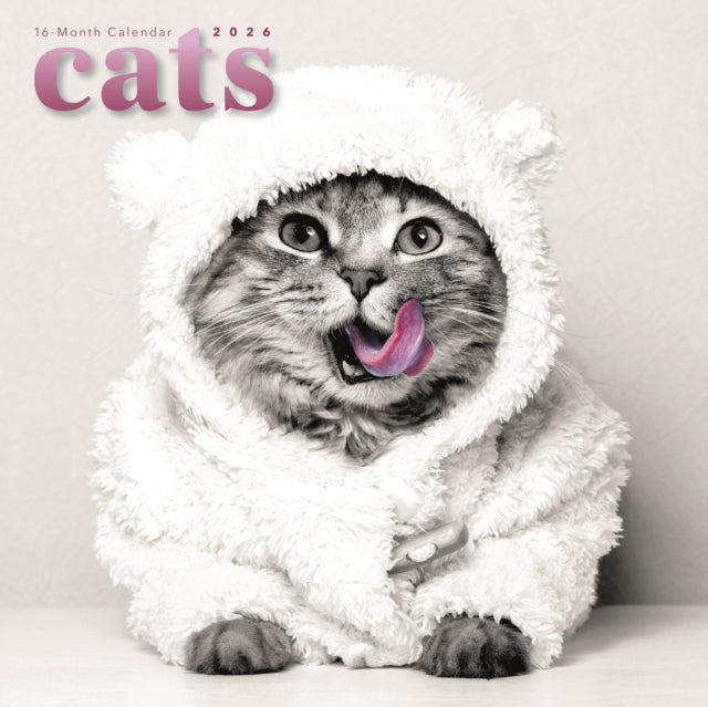 Book cover of: Cats Square Wall Sunday Start Calendar 2