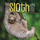 Book cover of: Sloths Square Wall Sunday Start Calendar