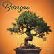 Book cover of: Bonsai Square Wall Sunday Start Calendar