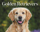 Book cover of: Goldens Retrievers Box Calendar 2026