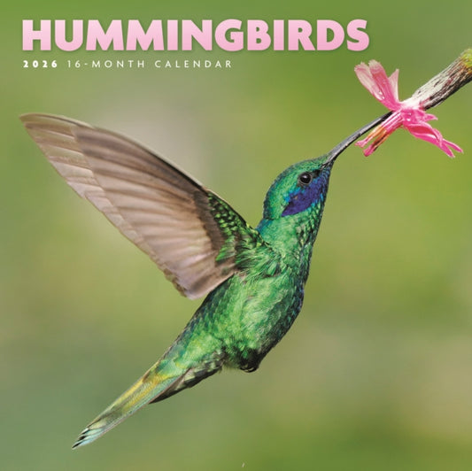 Book cover of: Hummingbirds Square Mini Sunday Start Ca