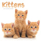 Book cover of: Kittens Square Wall Sunday Start Calenda