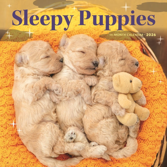 Book cover of: Sleepy Puppies Square Wall Sunday Start