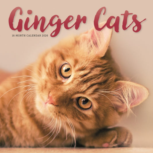 Book cover of: Ginger Cats Square Wall Sunday Start Cal